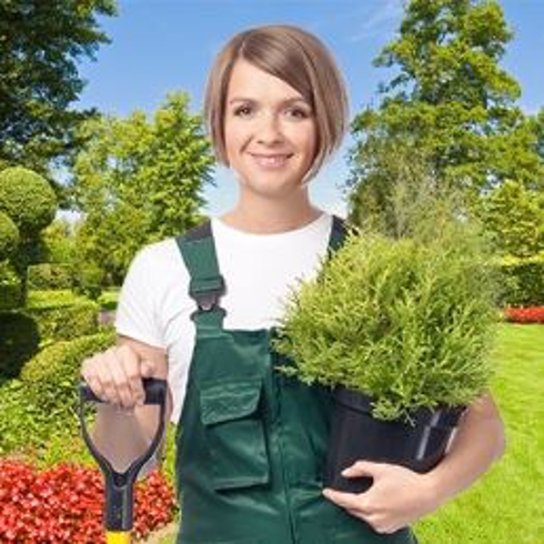 Pomona  Sprout Photo