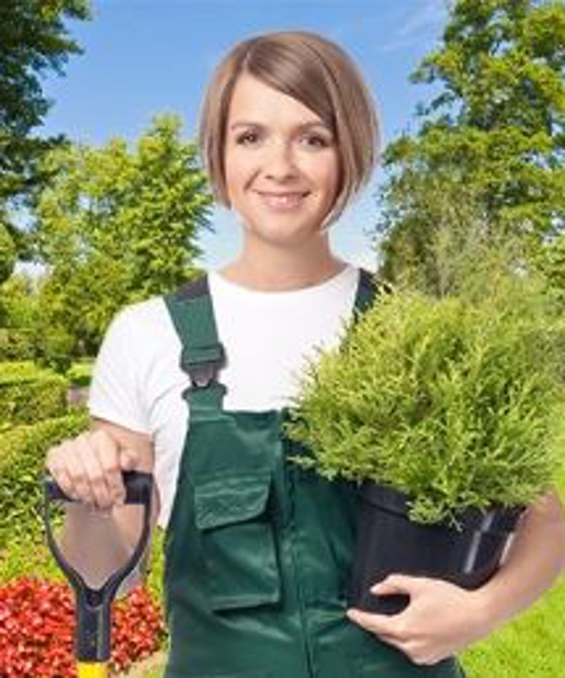Pomona  Sprout Photo